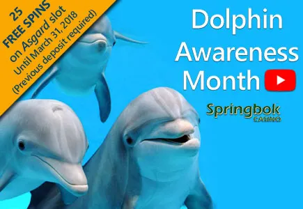 Springbok Casino Celebrates Dolphin Awareness Month