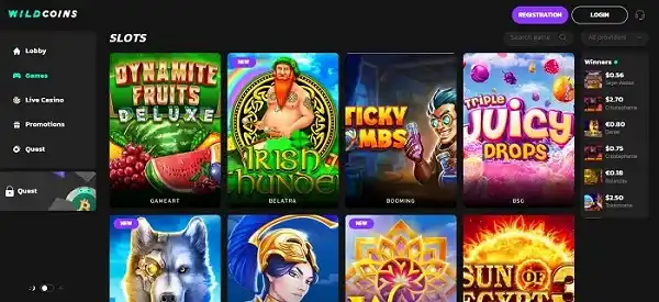 Wildcoins casino slot games