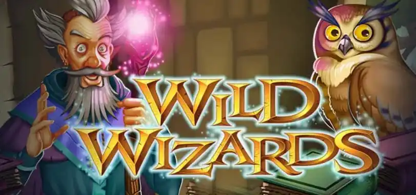 Wild Wizards Slots Review