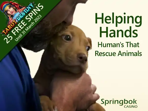 Springbok Casino Salutes Animal Rescuers