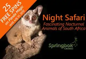 Springbok Casino Enjoys Night Life In Tribute To Nocturnal Animals