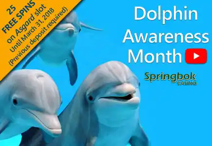 Springbok Casino Celebrating Dolphin Awareness Month