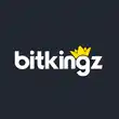 Logo image for bitkingz casino