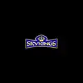 Logo image for Sky Kings Casino