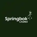 Logo image for Springbok Casino