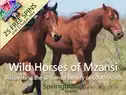 Springbok Casino Wild horses Bonus