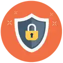 Safe Secure Icon