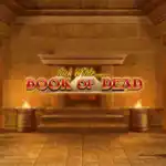 Image for Book of Dead