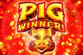 Pig Winner