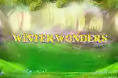 Winter Wonders