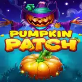 Pumpkin Patch
