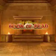 Image for Book of dead