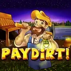 Logo image for paydirt