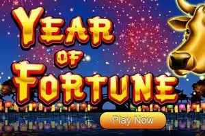Year Of Fortune