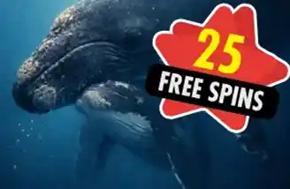 springbok casino whalentines