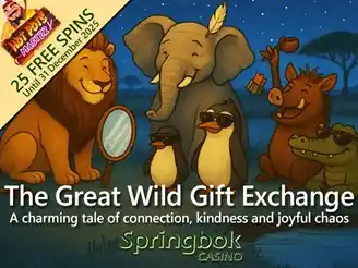 Springbok Casino Christmas Promo