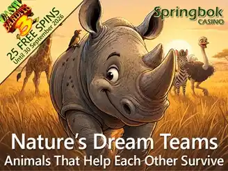 Springbok Casino September Promo