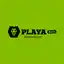 Logo image for Playa Bets Casino