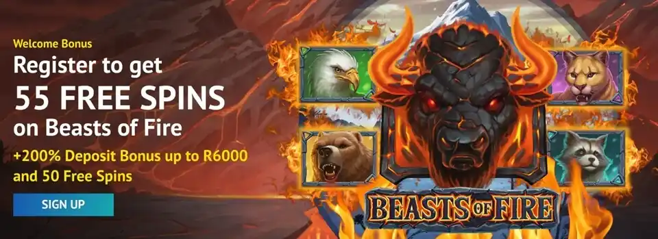 Hippozino Casino Welcome Bonus