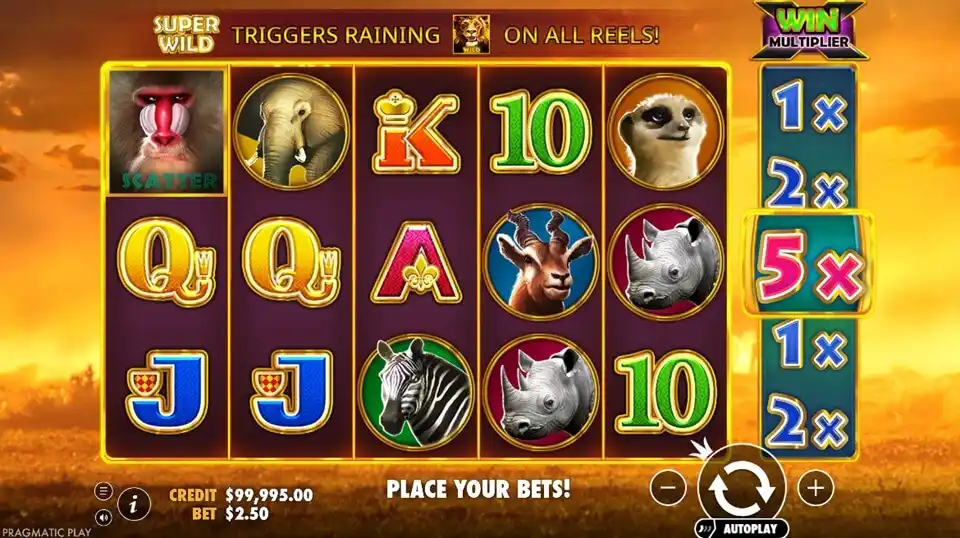 Hot Safari Slot Screenshot