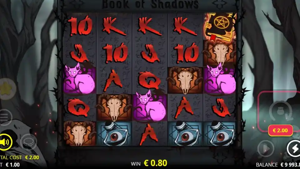 Book of Shadows Slot Game Screenshot